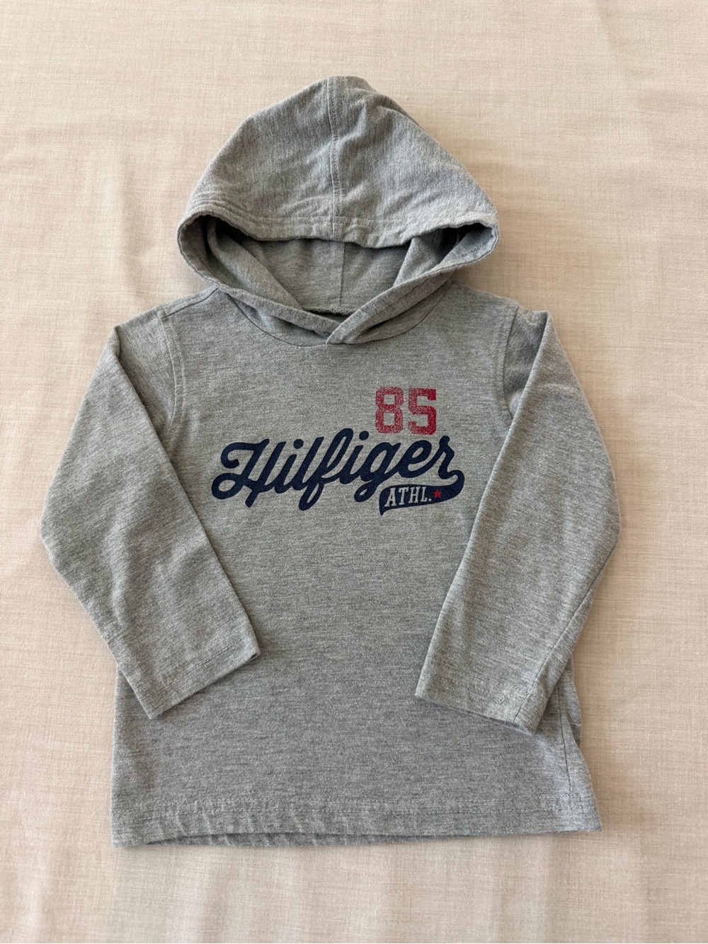 Tommy Hilfiger Gray Hooded Sweatshirt with Navy & Red Logo